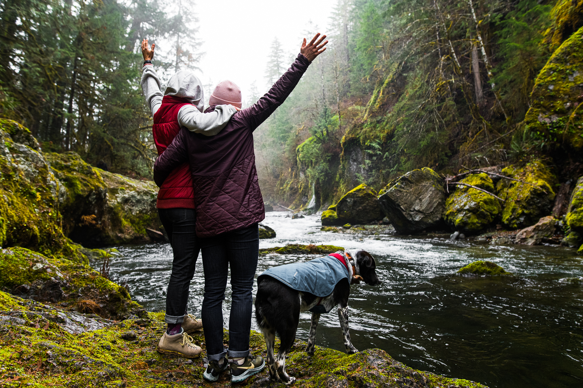Couple and a dog beside a mossy forest river