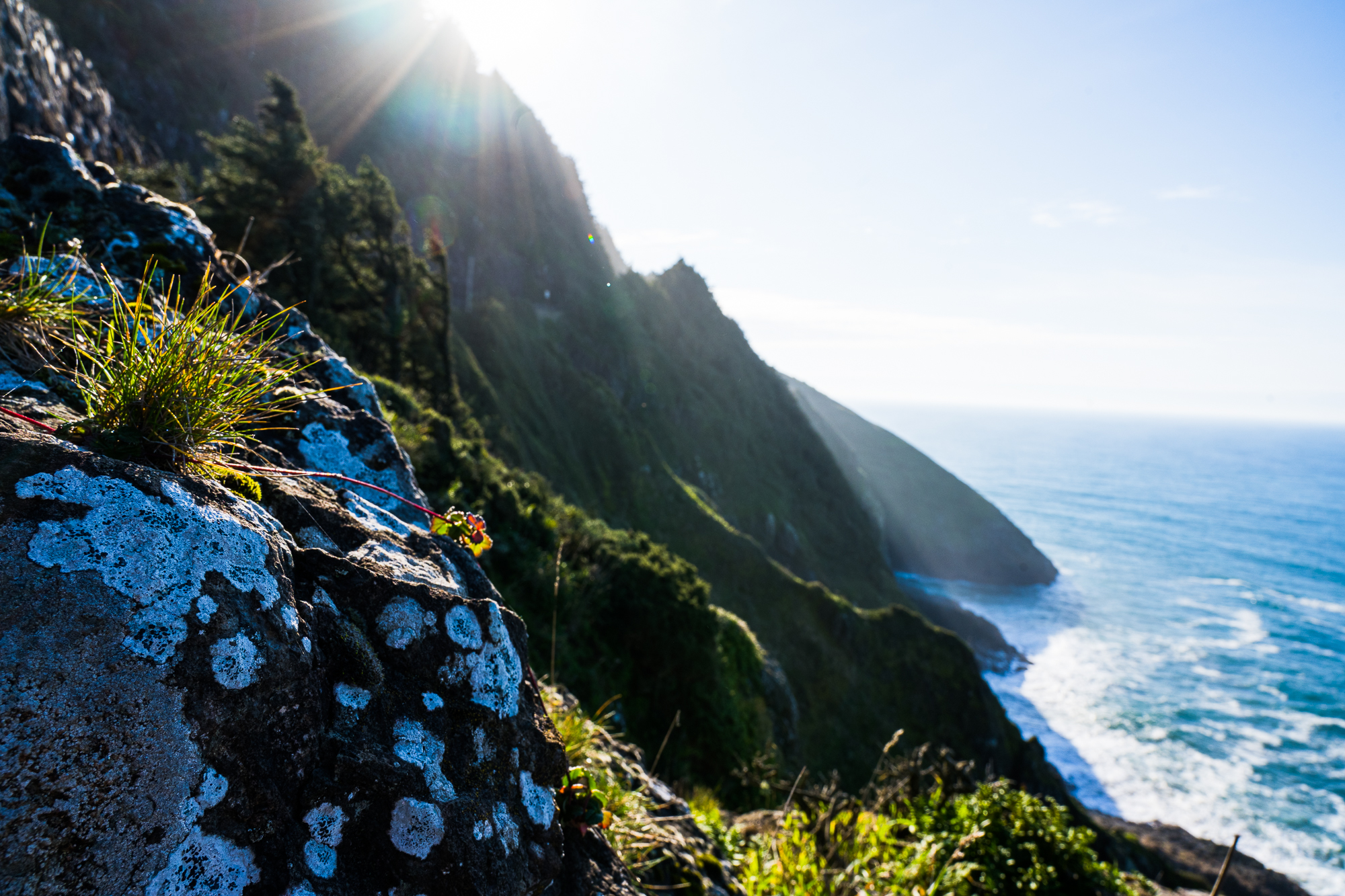 Sunburst over a green coastal cliff meeting the sea