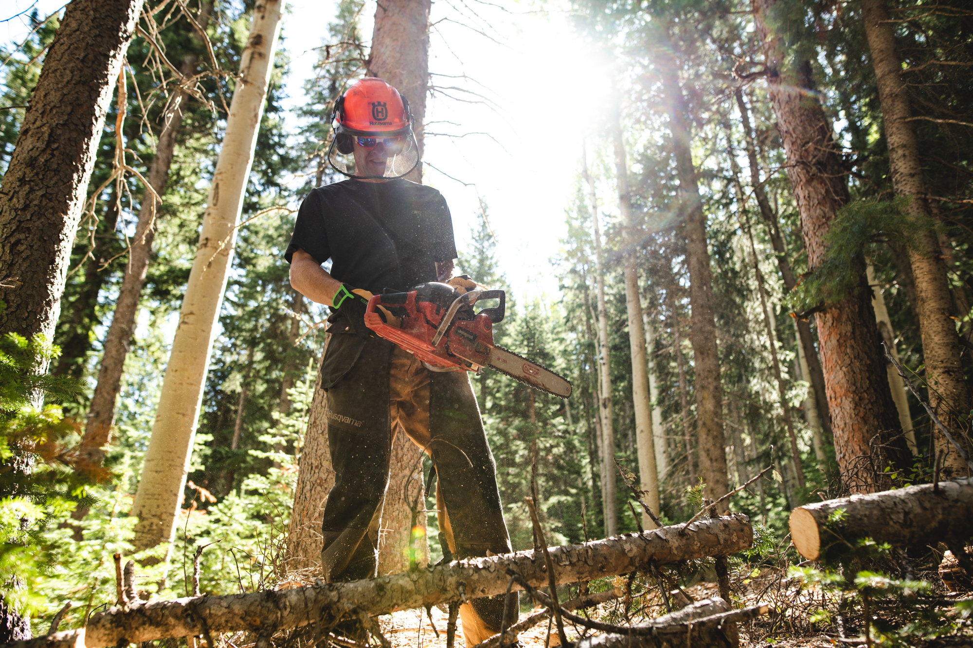 Crew member with chainsaw clearing brush on the mountain